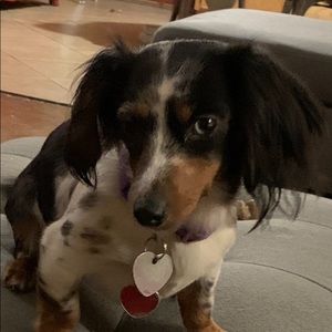 Meet your Posher, Karen